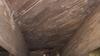 Crawl Space Encapsulation & Mold Remediation in Dallas, TX - Photo 2