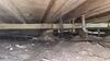 Crawl Space Encapsulation & Mold Remediation in Dallas, TX - Photo 4