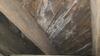 Crawl Space Encapsulation & Mold Remediation in Dallas, TX - Photo 1