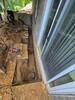 Moline, IL Foundation Repair - Photo 3