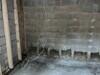 Basement Waterproofing in Prosper, TX - Photo 5