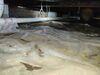 Crawl Space Repair in Pleasant View, TN - Photo 9