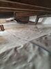 Basement and Crawlspace Encapsulation in Cogan Station - Photo 5