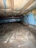 Basement and Crawlspace Encapsulation in Cogan Station - Photo 2
