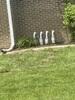 StarPipe Drainage Installed for Cold-Weather Flood Prevention - Lizton, IN - Photo 1