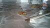 Crawl Space Water Control & Moisture Solution In Pittsville, WI - Photo 6