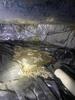 Crawl Space Encapsulation in Brentwood, TN - Photo 4