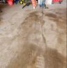 Concrete Sidewalk, Garage Apron & Garage Floor Repair in  Marshfield, WI - Photo 8