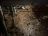 Crawl Space Repair in Nashville, TN - Photo 6