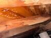 Crawl Space Encapsulation & Mold Remediation in Dallas, TX - Photo 7