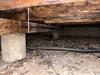 Crawl Space Encapsulation & Mold Remediation in Dallas, TX - Photo 5