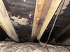 Crawl Space Encapsulation & Mold Remediation in Dallas, TX - Photo 1
