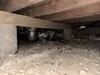 Crawl Space Encapsulation & Mold Remediation in Dallas, TX - Photo 4