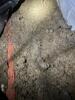 Crawl Space Repair in Fairview, TN - Photo 3