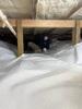 Cumberland Center Crawl Space Encapsulation - Photo 1