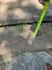 Concrete Restored in Lebanon, IL - Photo 1