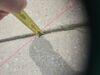 Concrete Repair in Godfrey, IL - Photo 2