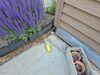 Garage Apron Concrete Repair in Rhinelander, WI - Photo 2