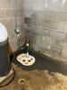 Basement Waterproofing in Oneida, IL - Photo 1
