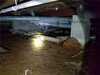 Crawl Space Repair Services In Princeton, WI - Photo 4
