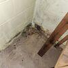 Basement Waterproofing in Dawson Springs, KY - Photo 5