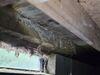 Lake Cottage Crawl Space Mold & Moisture Repair in Shawano, WI - Photo 3