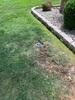 Crawl Space Repair in Lafayette, TN - Photo 1