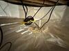 Crawl Space Encapsulation in Shelbyville, TN - Photo 7