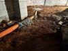 Crawl Space Encapsulation in Shelbyville, TN - Photo 5