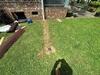 Crawl Space Encapsulation in Shelbyville, TN - Photo 1