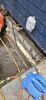 Crawl Space Structural Support in Rochester, NY - Photo 2