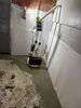 Moldy, Wet Basement Repaired in Parma, OH - Photo 2