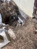 How a Flagstaff, AZ Home Got Its Foundation (and Peace of Mind) Back: Cracks, Sticking Doors, and a Sinking Ramp - Photo 3