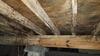 Crawl Space Encapsulation & Mold Remediation in Dallas, TX - Photo 4