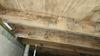 Crawl Space Encapsulation & Mold Remediation in Dallas, TX - Photo 1