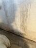Basement Waterproofing in Rochester, NY - Photo 4