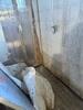 Basement Waterproofing in Rochester, NY - Photo 3