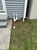Ongoing Moisture Intrusion In Ocean, NJ Basement - Photo 1