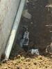 A Foundation's Fresh Start in Morgantown, WV - Photo 1
