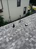 IKO Dynasty Shingle Roof Replacement in Fargo, ND - Photo 4