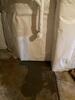 CleanSpace in Bear DE - Photo 1
