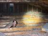 Attic Insulated with Cellulose in Lyndhurst, OH - Photo 1