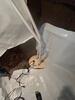 Crawl Space Repair in Nashville, TN - Photo 4