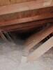 Aged Cellulose Replaced with High Quality TruSoft in Medina, OH - Photo 2