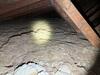 Aged Cellulose Replaced with High Quality TruSoft in Medina, OH - Photo 1