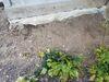 Porch Slab Resurfacing in New Richmond, Ohio - Photo 2