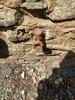 Hose Bib Replacement in Middleburg, VA - Photo 2