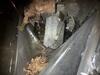 Crawl Space Cleaning, Rodent Protection & Insulation Upgrade - Photo 5