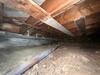 Crawl Space Cleaning, Rodent Protection & Insulation Upgrade - Photo 3