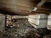 Crawl Space Encapsulation in Dallas, TX - Photo 5
